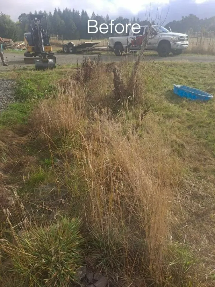 Professional outdoor landscaping in Toledo, WA by Down To Earth Land Services