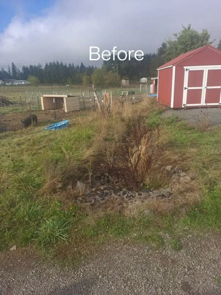 Custom landscaping services for year-round maintenance in Toledo, WA by Down To Earth Land Services