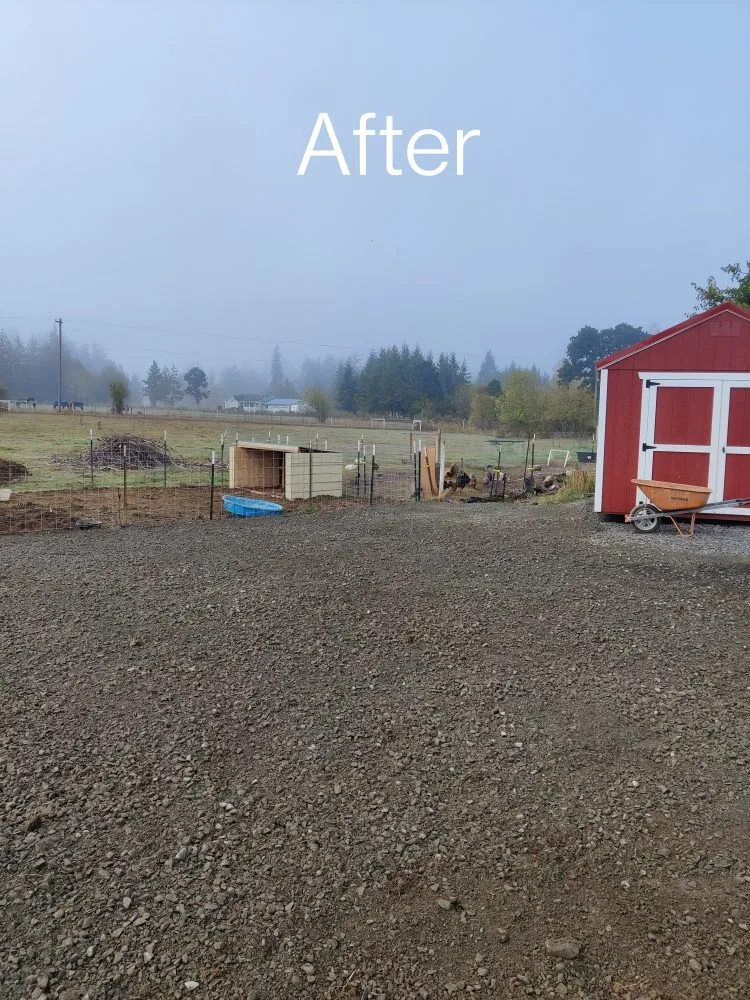 Affordable landscape design near you in Toledo, WA by Down To Earth Land Services