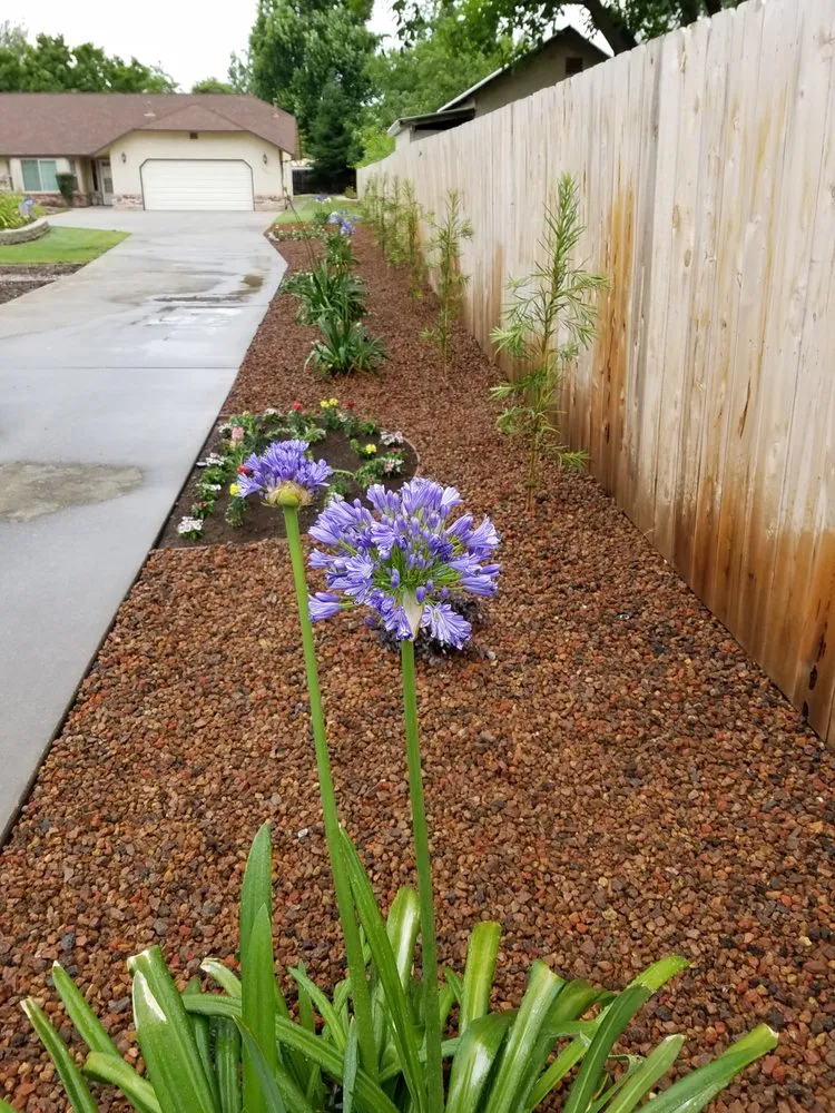 Custom yard maintenance experts serving Chico, CA - Down To Earth Landscaping & Maintenance