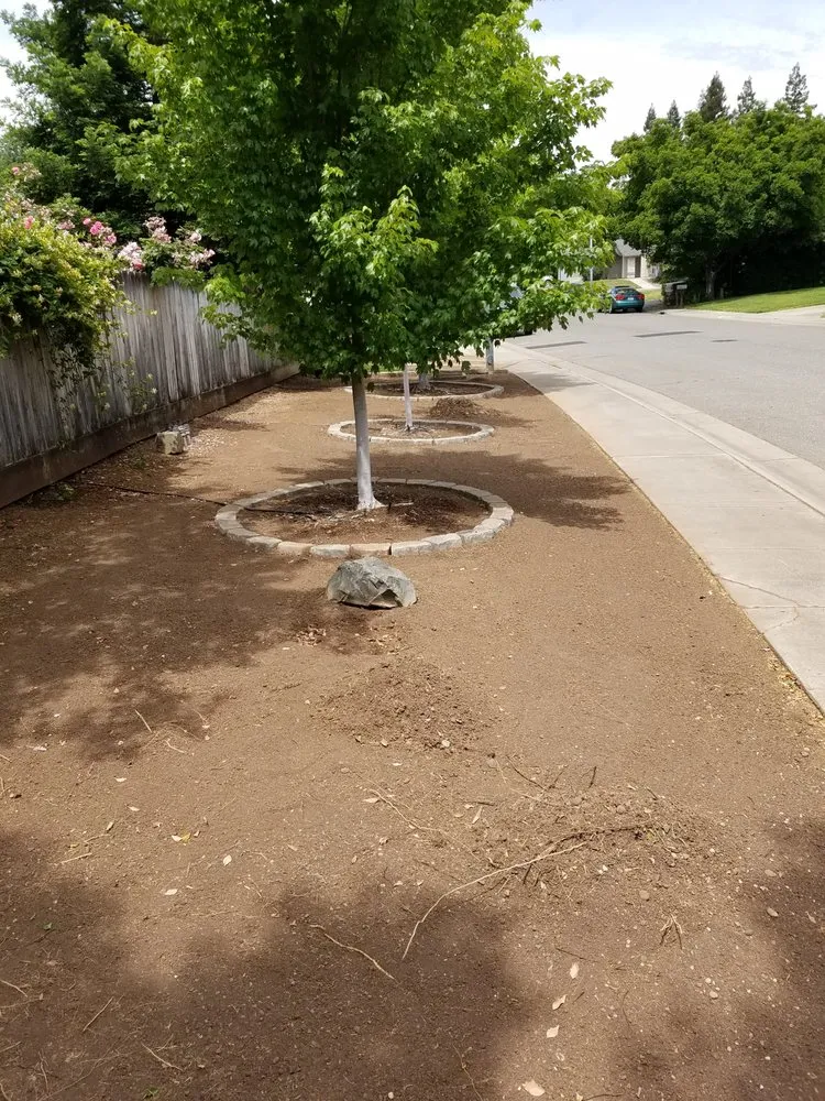 Professional landscape design for beautiful yards in Chico, CA by Down To Earth Landscaping & Maintenance