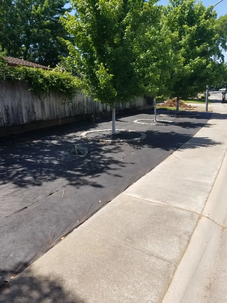 Local landscape installation experts serving Chico, CA - Down To Earth Landscaping & Maintenance