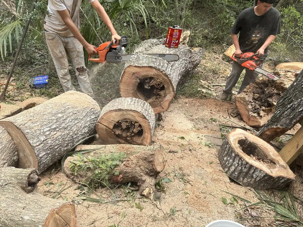 Local residential landscaping for year-round maintenance in Supply, NC by Down to Earth Landscaping and Maintenance