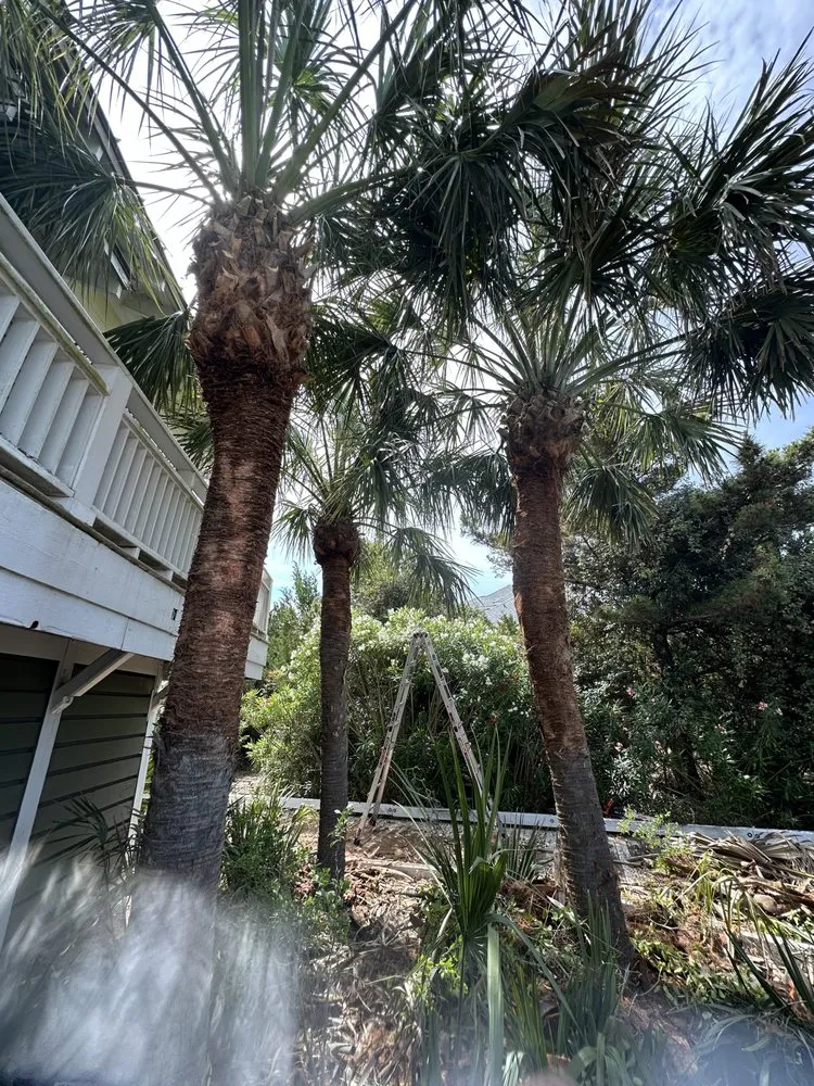 Trusted yard maintenance experts serving Supply, NC - Down to Earth Landscaping and Maintenance