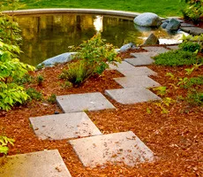 Reliable yard cleanup service for year-round maintenance across Beaumont, TX - Down to Earth Landscaping