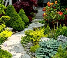 Trusted landscape installation experts serving Beaumont, TX - Down to Earth Landscaping