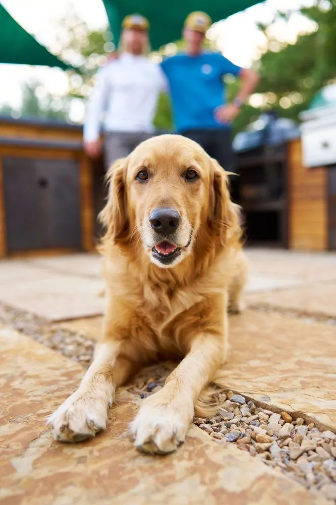 Custom outdoor landscaping for residential properties in Denver, CO by Down To Earth Landscaping