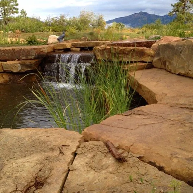 Expert landscape installation experts serving Durango, CO - Down To Earth Landscaping