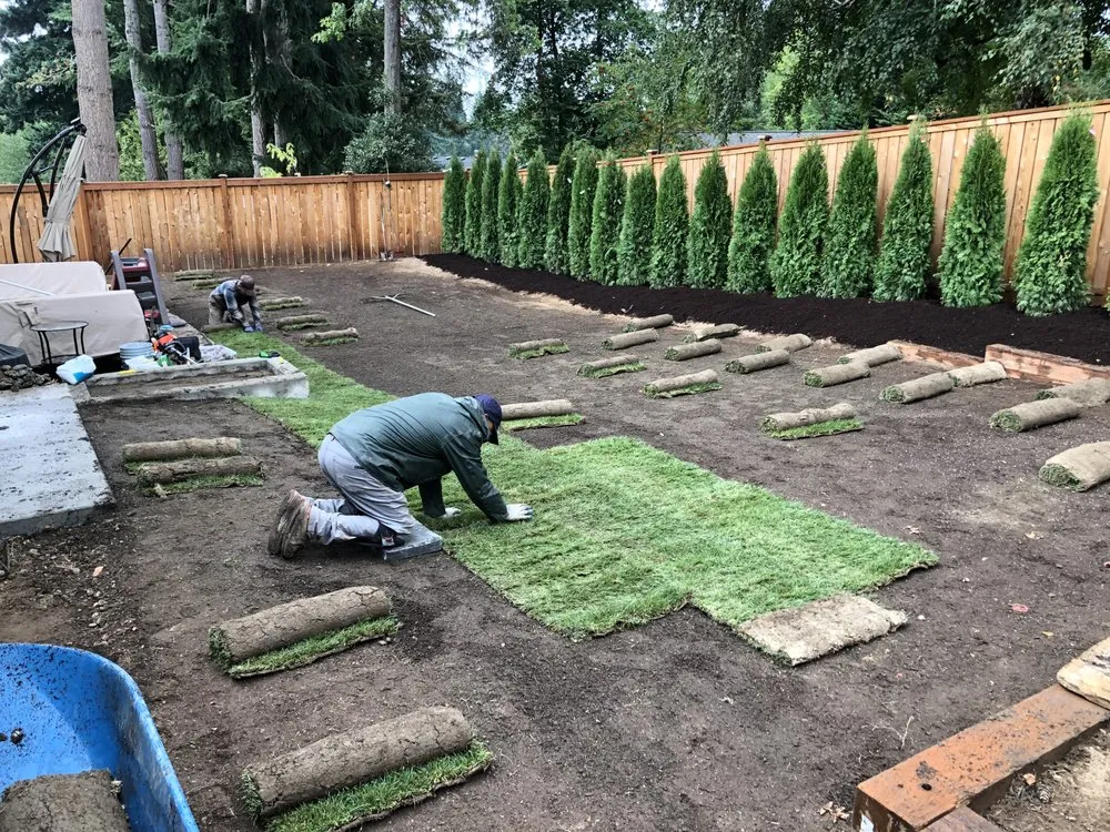 Professional lawn care service in Bellevue, WA by Down to Earth Landscaping, Inc