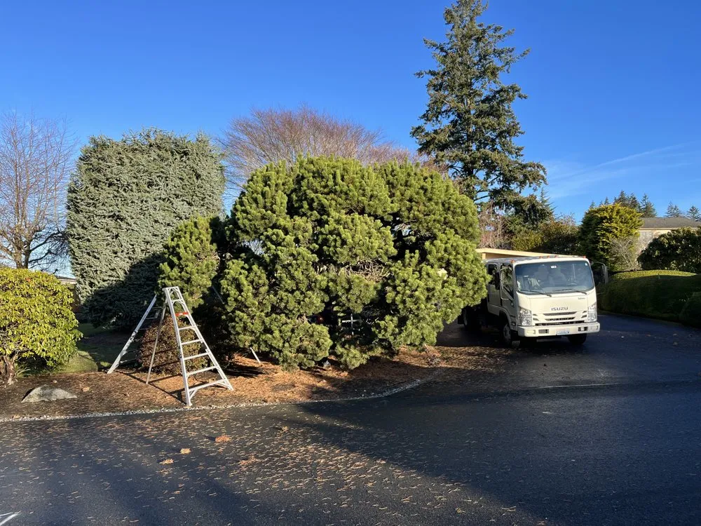 Expert outdoor landscaping experts serving Bellevue, WA - Down to Earth Landscaping, Inc