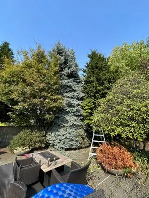 Down to Earth Landscaping, Inc