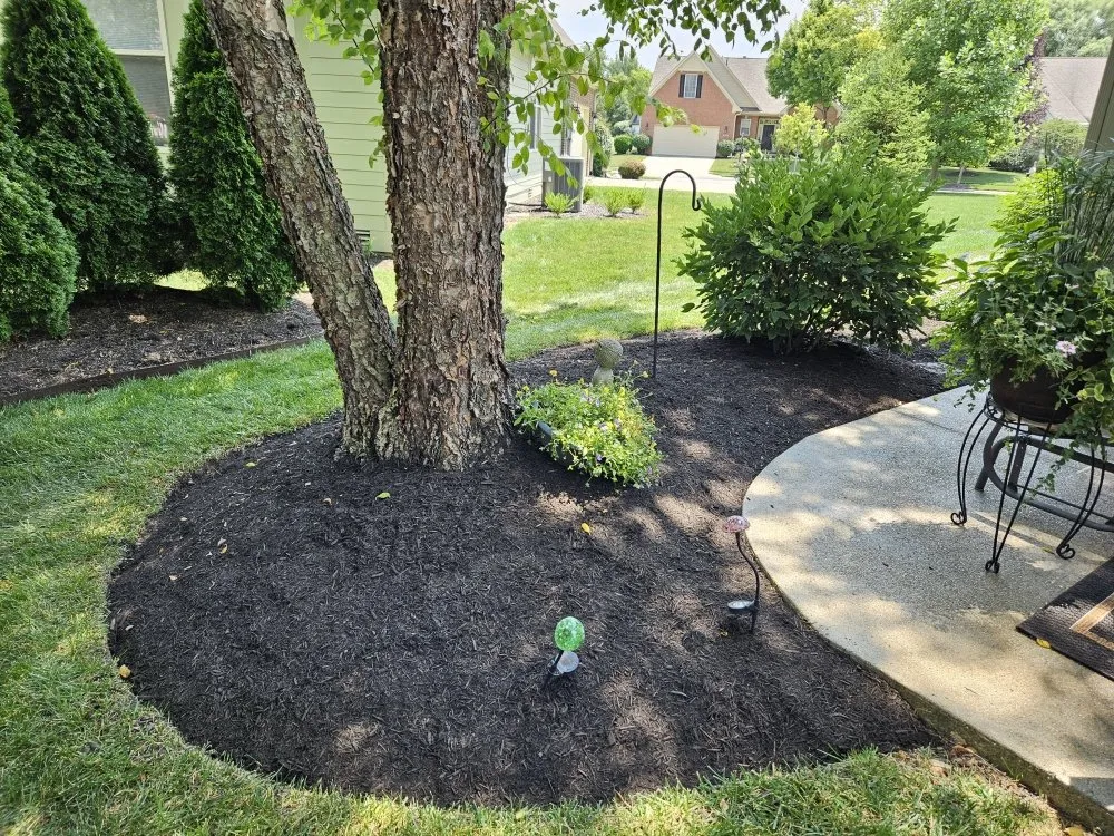 Local lawn mowing service experts serving Indianapolis, IN - Down to Earth Landscaping