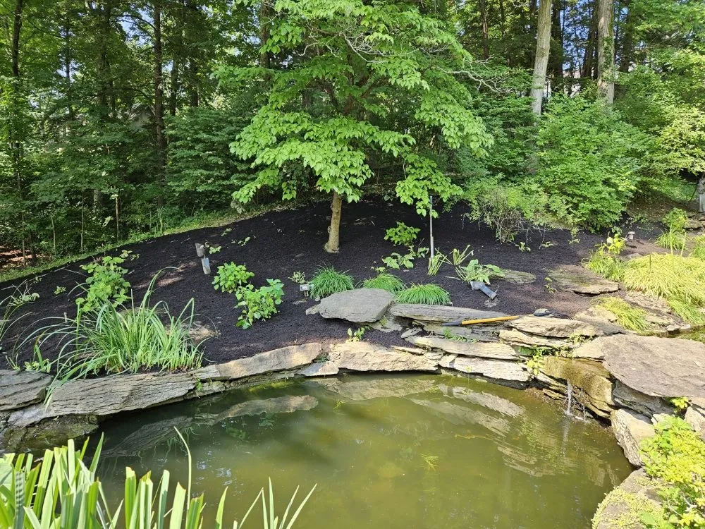 Reliable landscape design experts serving Indianapolis, IN - Down to Earth Landscaping