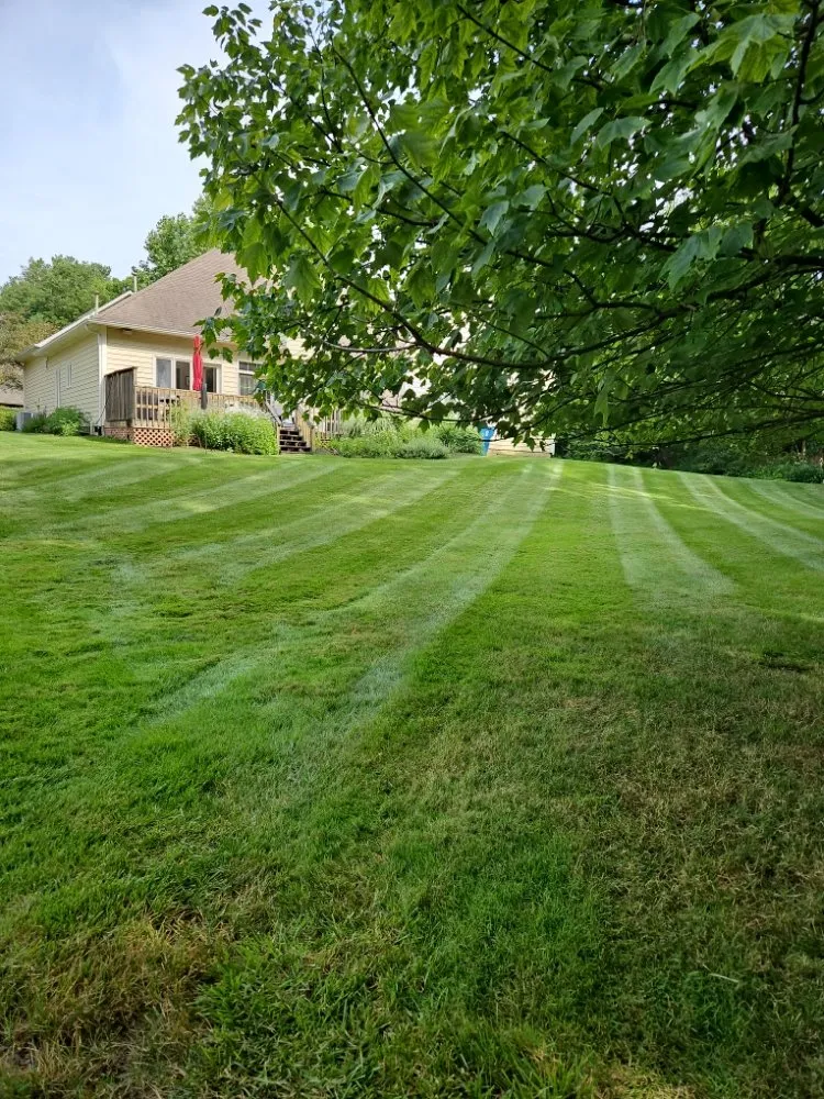 Reliable yard cleanup service experts serving Indianapolis, IN - Down to Earth Landscaping