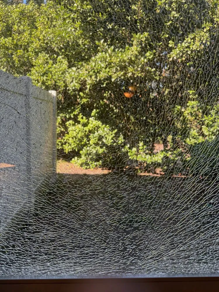 Reliable residential landscaping experts serving Jackson, NJ - Down To Earth Landscaping