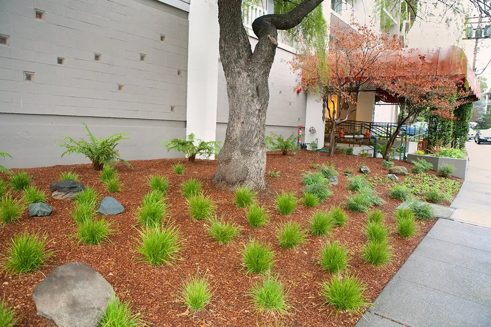 Custom garden landscaping experts serving Oakland, CA - Down to Earth Landscaping