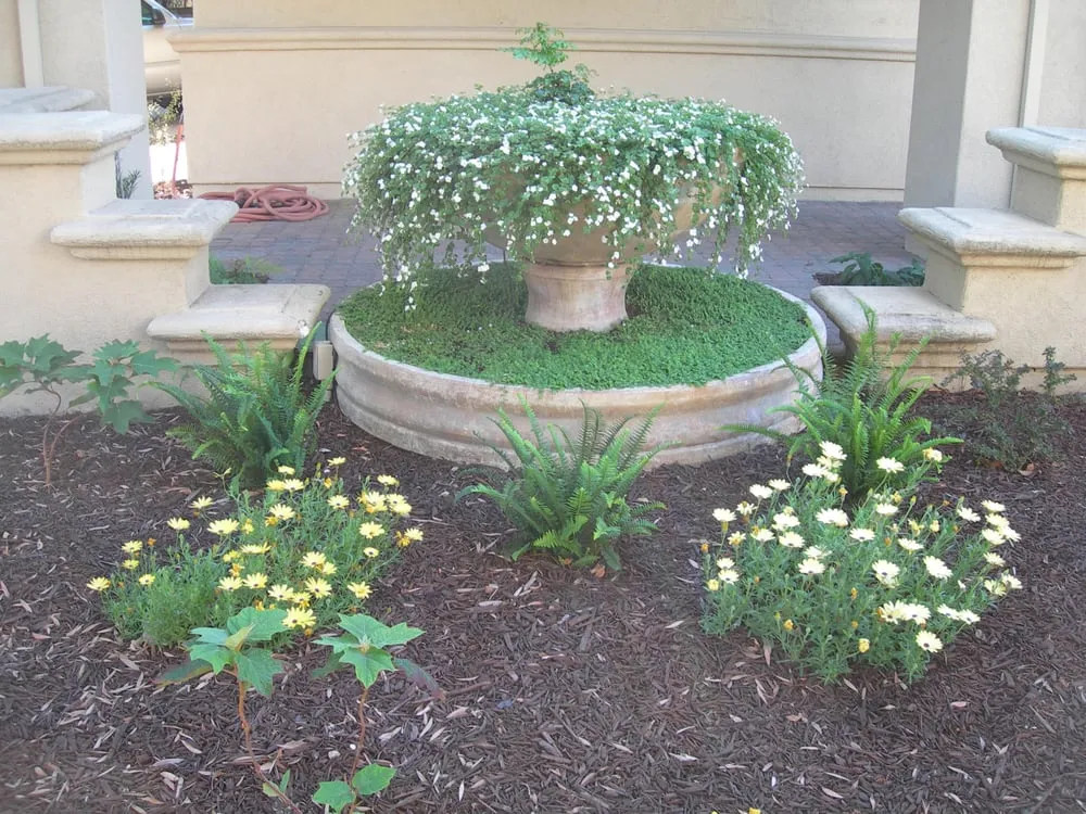 Expert outdoor landscaping in Oakland, CA - Down to Earth Landscaping