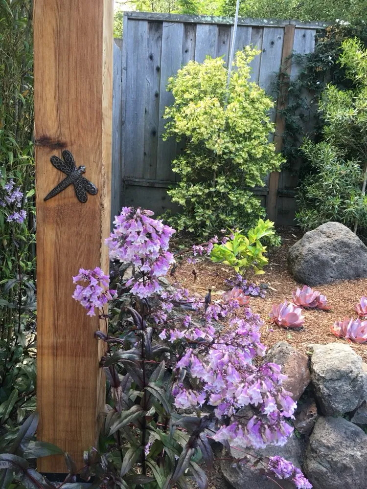 Reliable yard maintenance for outdoor upgrades across Oakland, CA - Down to Earth Landscaping