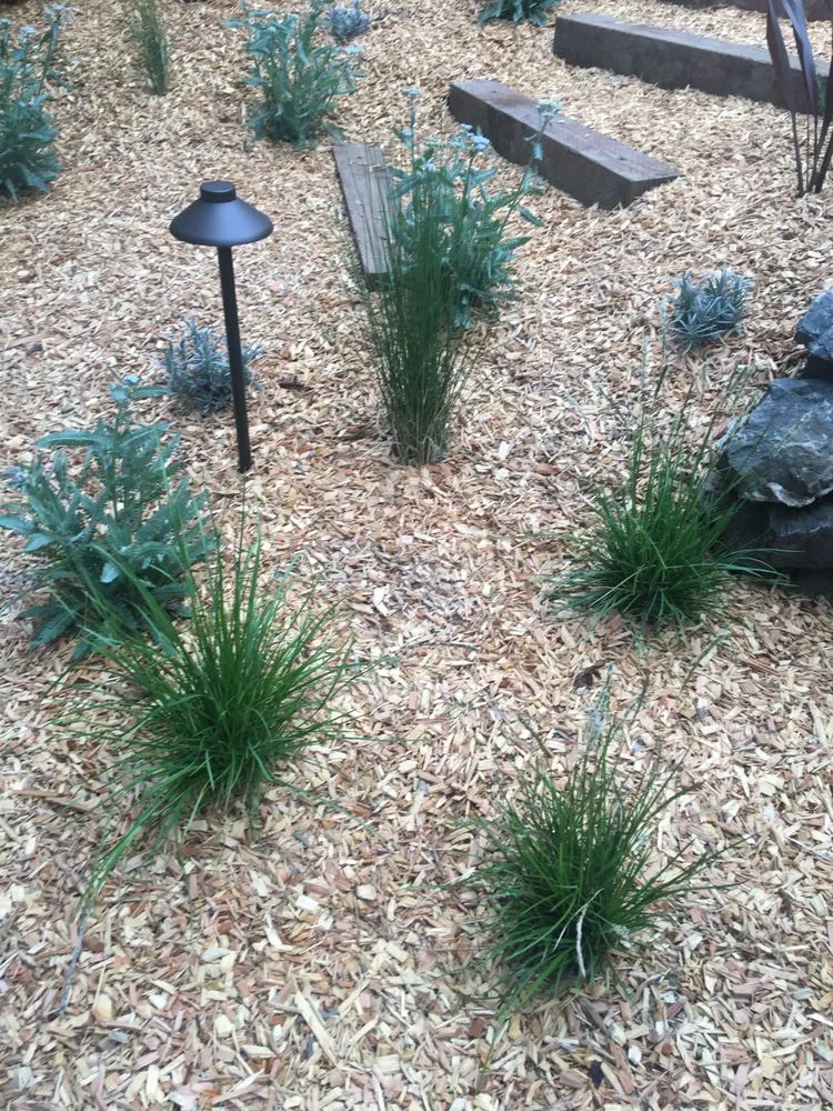 Local landscape design experts serving Oakland, CA - Down to Earth Landscaping