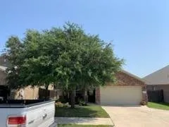 Trusted yard cleanup service in San Marcos, TX by Down To Earth Landscaping