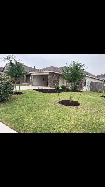 Affordable landscape installation for outdoor upgrades in San Marcos, TX by Down To Earth Landscaping