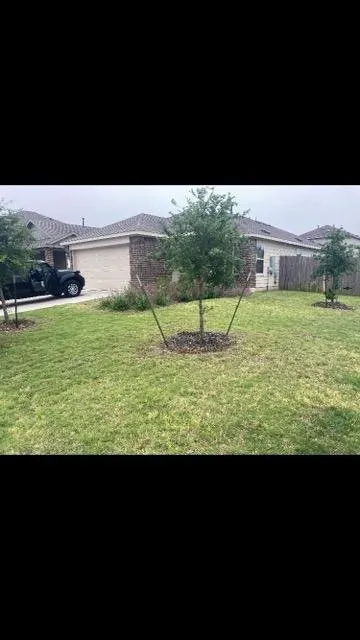 Custom yard cleanup service for year-round maintenance in San Marcos, TX by Down To Earth Landscaping