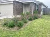 Custom residential landscaping for year-round maintenance in San Marcos, TX by Down To Earth Landscaping