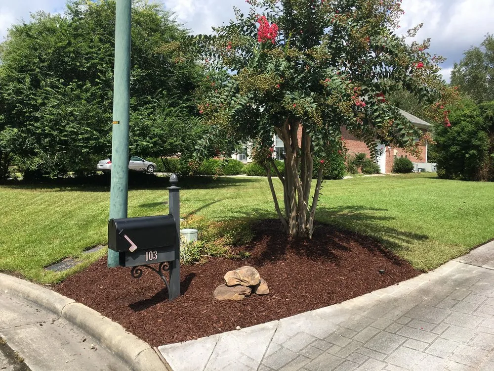 Expert landscape design in Vanceboro, NC by Down to Earth Landscaping