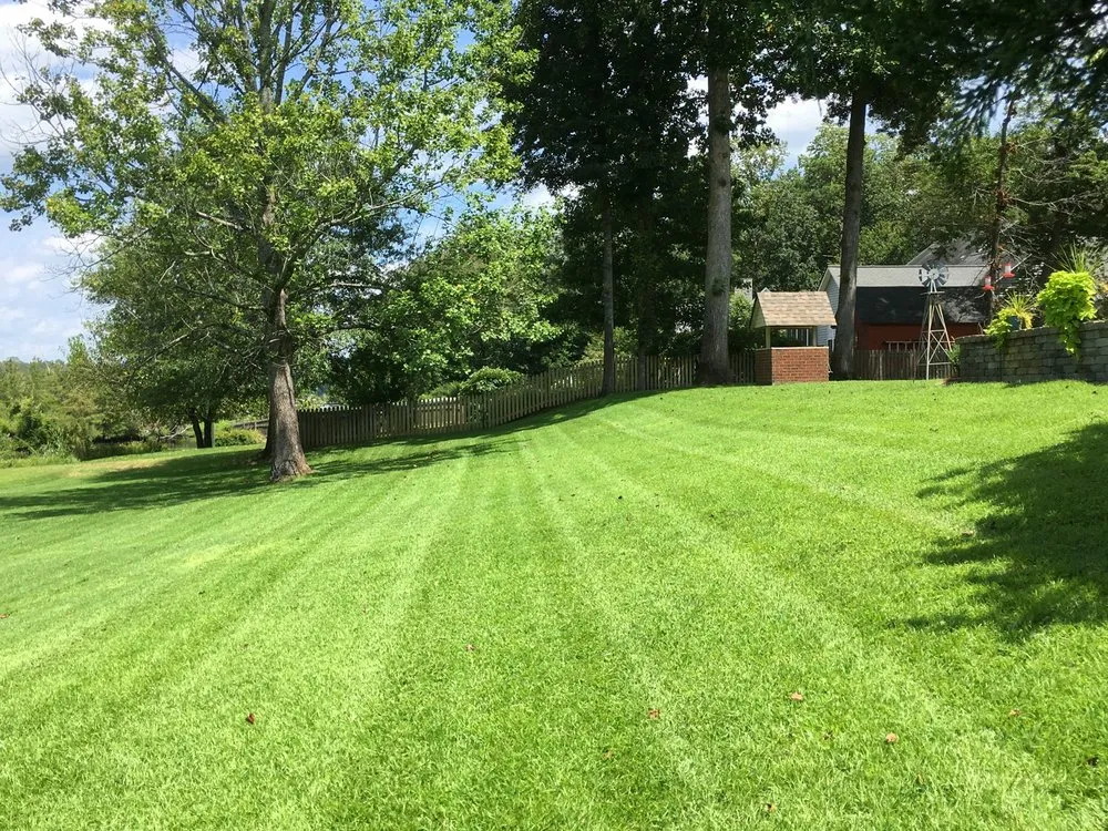 Reliable landscaping services in Vanceboro, NC by Down to Earth Landscaping