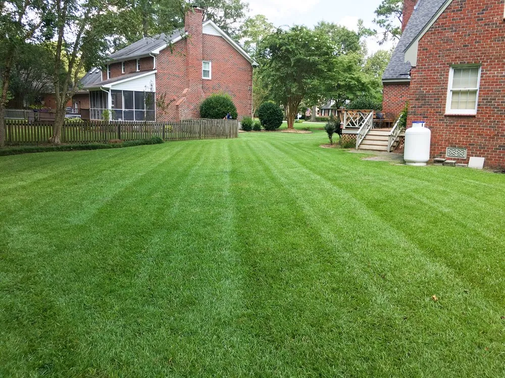 Custom lawn care service for year-round maintenance in Vanceboro, NC by Down to Earth Landscaping
