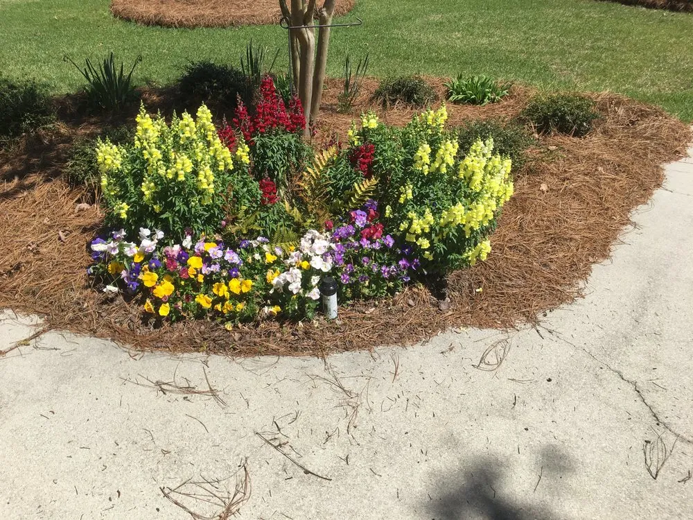 Trusted landscape design in Vanceboro, NC by Down to Earth Landscaping