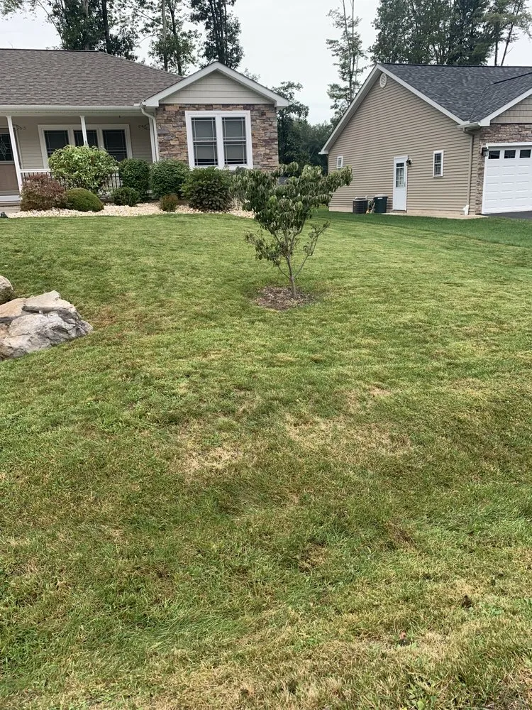 Reliable garden landscaping for beautiful yards in Wilkes-Barre Township, PA by Down to Earth Landscaping