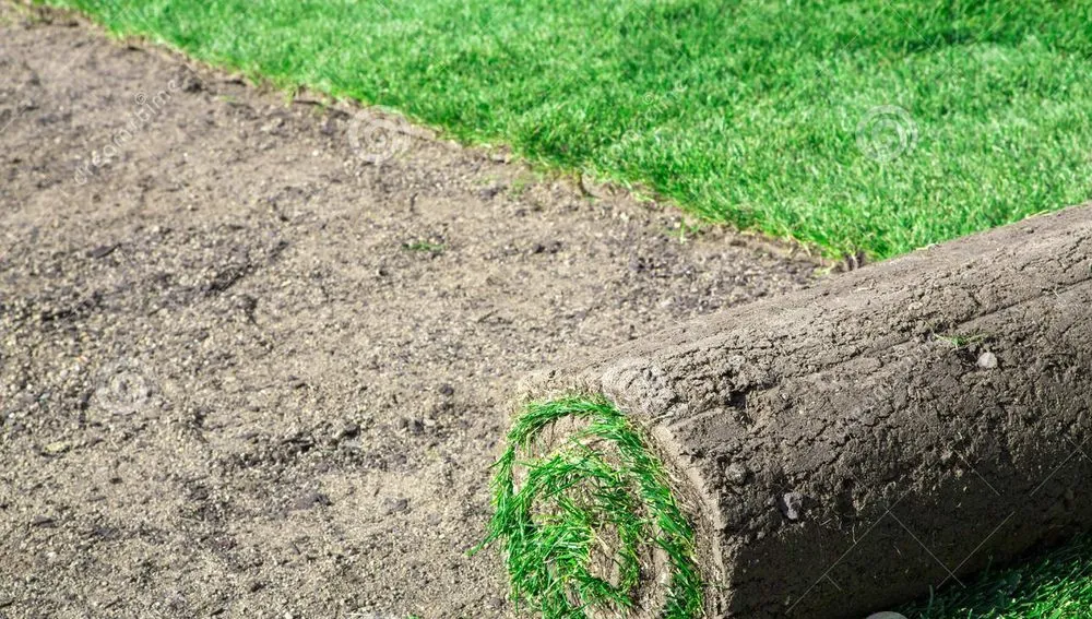 Affordable outdoor landscaping experts serving Oviedo, FL - Down To Earth Lawn & Garden Pro