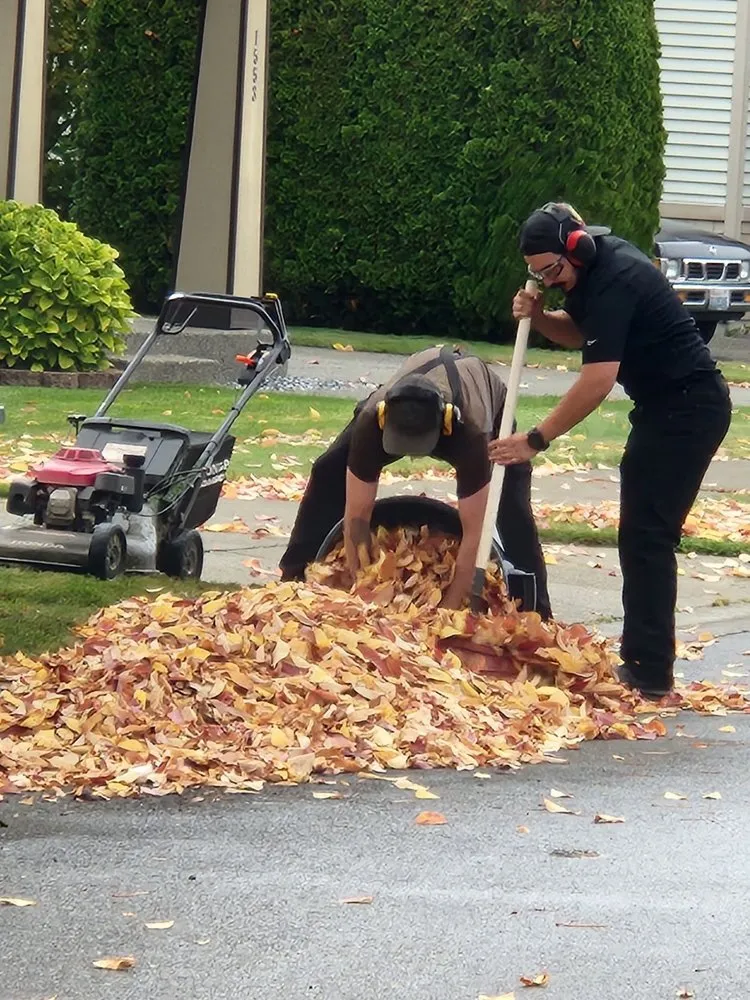 Custom yard maintenance in Olympia, WA - Down To Earth Lawn And Landscapes