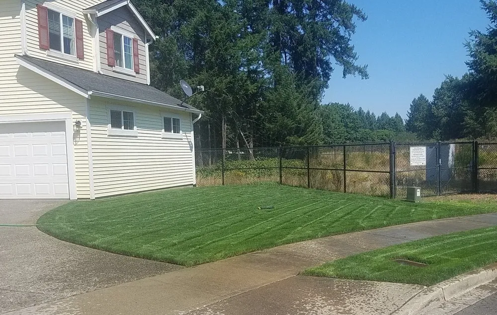 Trusted landscape installation experts serving Olympia, WA - Down To Earth Lawn And Landscapes