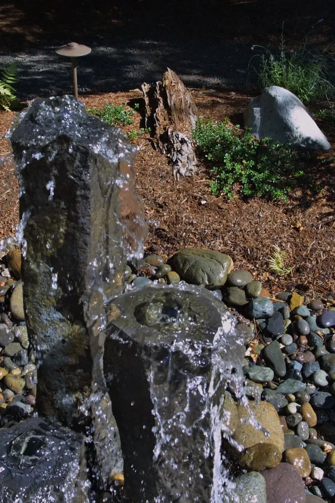 Trusted yard maintenance near you in Olympia, WA by Down To Earth Lawn And Landscapes