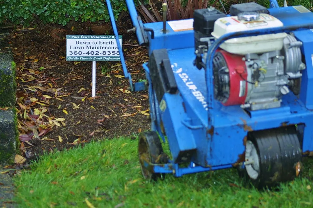 Expert landscape installation in Olympia, WA - Down To Earth Lawn And Landscapes