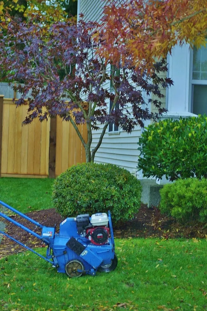 Professional yard maintenance experts serving Olympia, WA - Down To Earth Lawn And Landscapes
