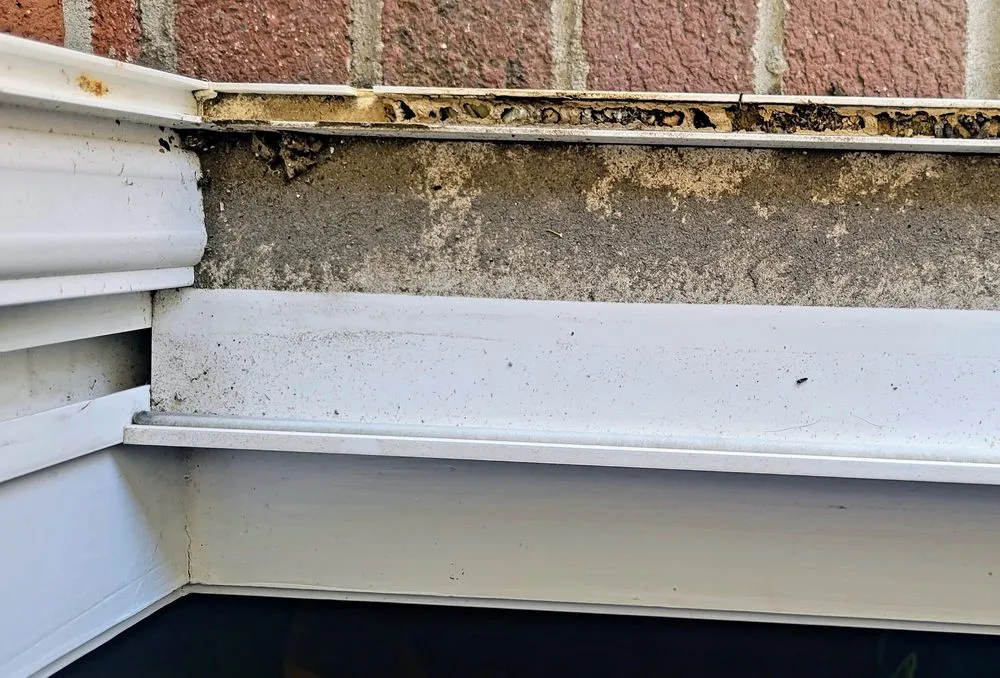 Expert lawn mowing service experts serving Williamsburg, OH - Down To Earth Lawn Care and Window Cleaning