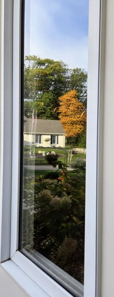 Expert yard cleanup service for outdoor upgrades across Williamsburg, OH - Down To Earth Lawn Care and Window Cleaning