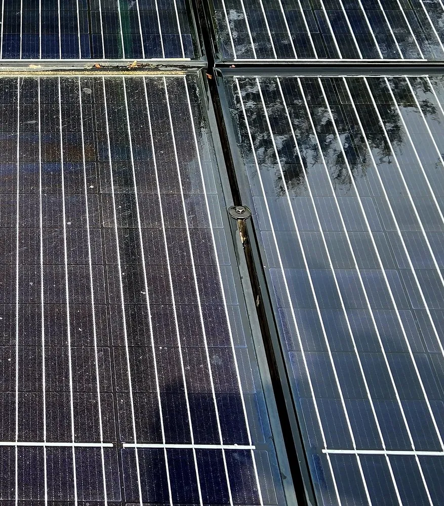 Affordable yard cleanup service in Williamsburg, OH by Down To Earth Lawn Care and Window Cleaning