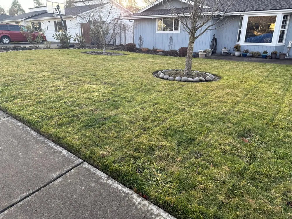 Trusted lawn care service for outdoor upgrades across Central Point, OR - Down to Earth Lawn Care