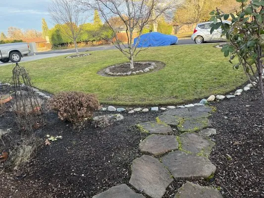 Down to Earth Lawn Care