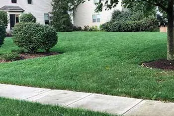 Expert landscaping services for beautiful yards across Delaware, OH - Down to Earth Lawn Care