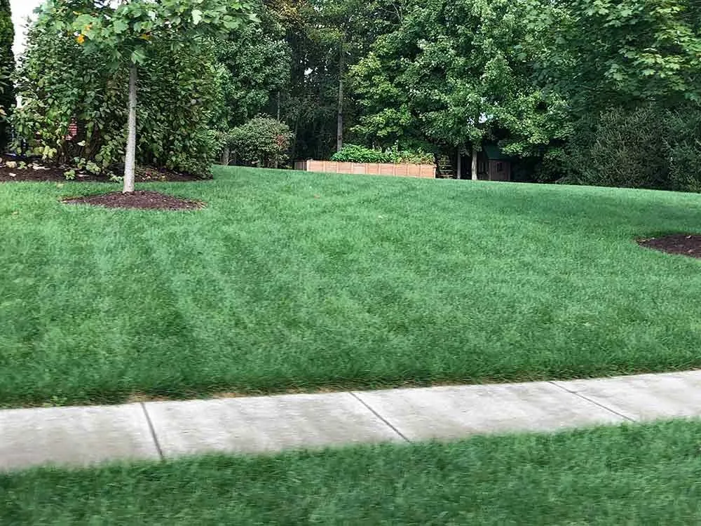 Expert yard maintenance for residential properties across Delaware, OH - Down to Earth Lawn Care