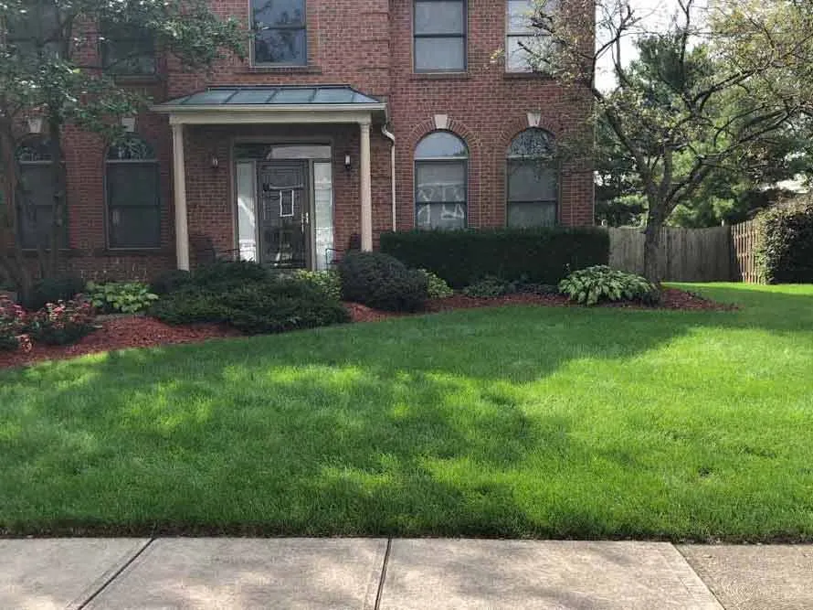 Expert lawn mowing service for year-round maintenance across Delaware, OH - Down to Earth Lawn Care