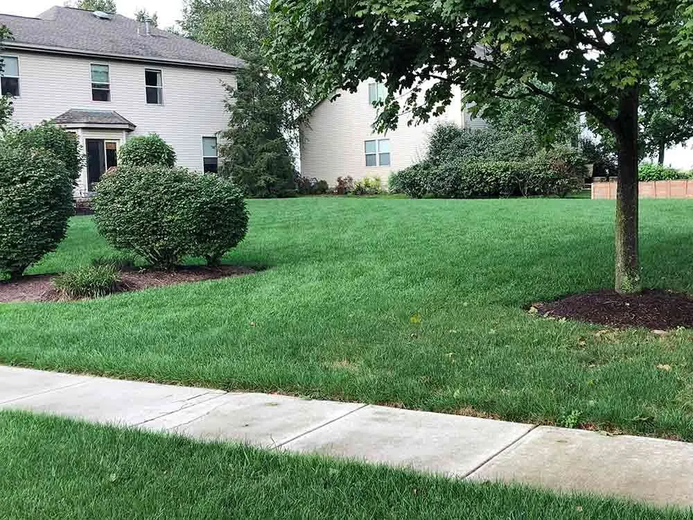 Reliable residential landscaping in Delaware, OH by Down to Earth Lawn Care