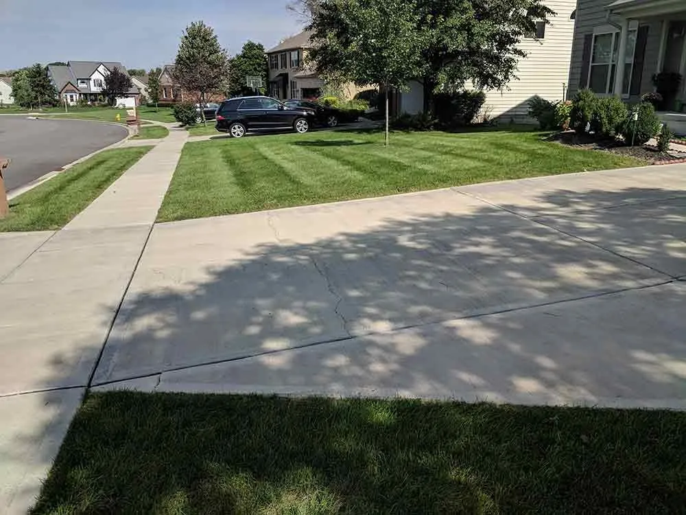 Expert yard cleanup service in Delaware, OH by Down to Earth Lawn Care