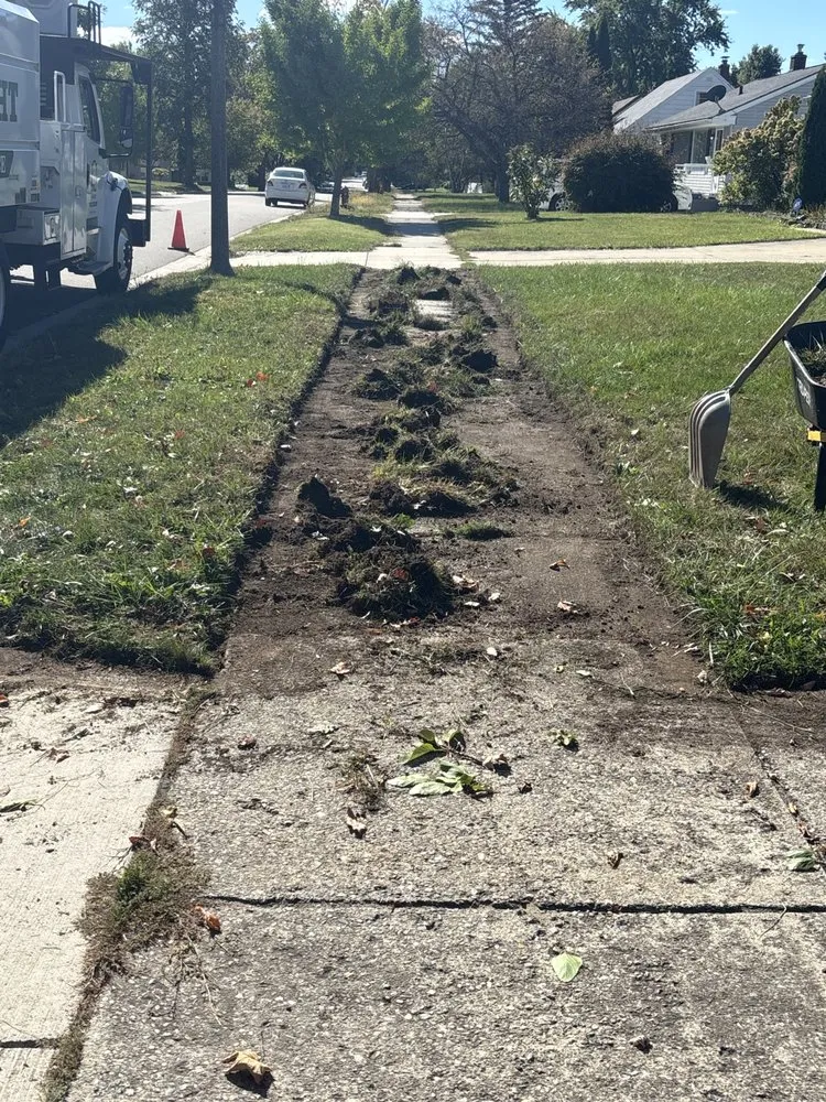 Reliable lawn care service experts serving Eaton Rapids, MI - Down to Earth Lawn Care