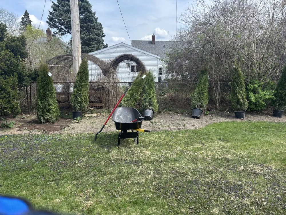 Custom yard cleanup service in Eaton Rapids, MI - Down to Earth Lawn Care